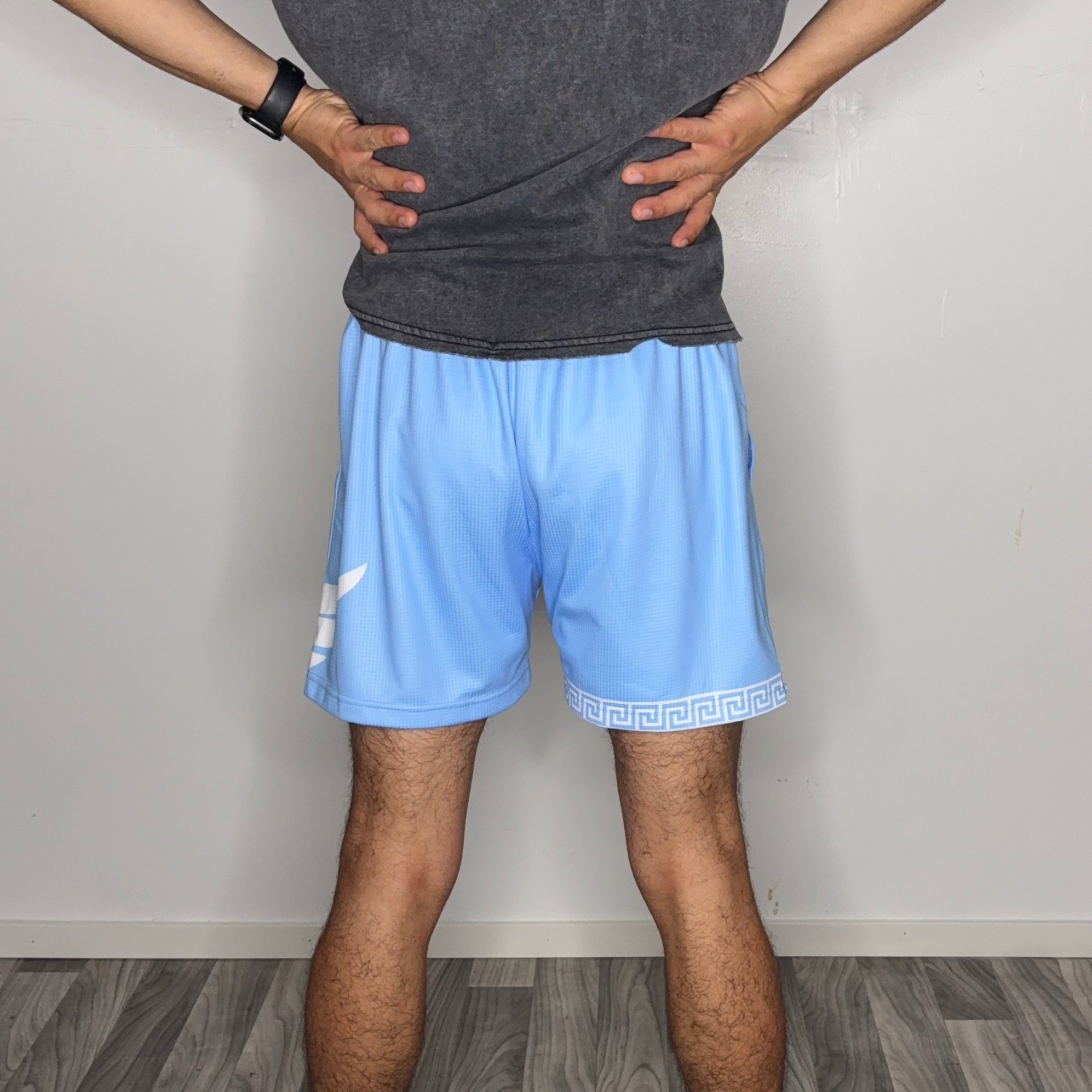 SKY MESH SHORTS