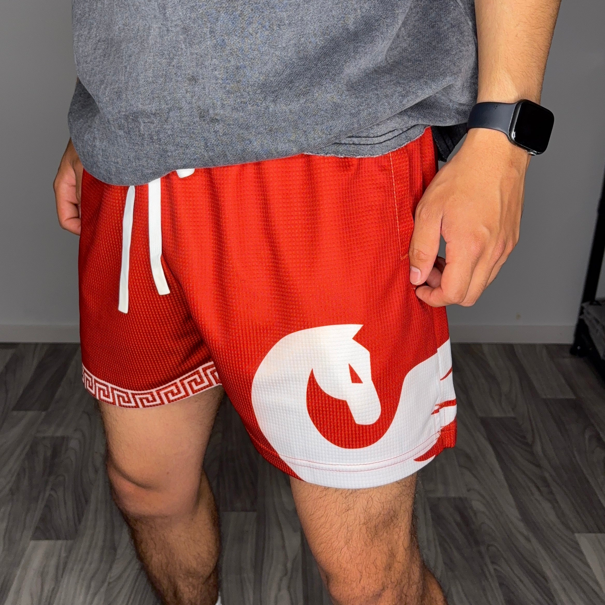 CRIMSON MESH SHORTS