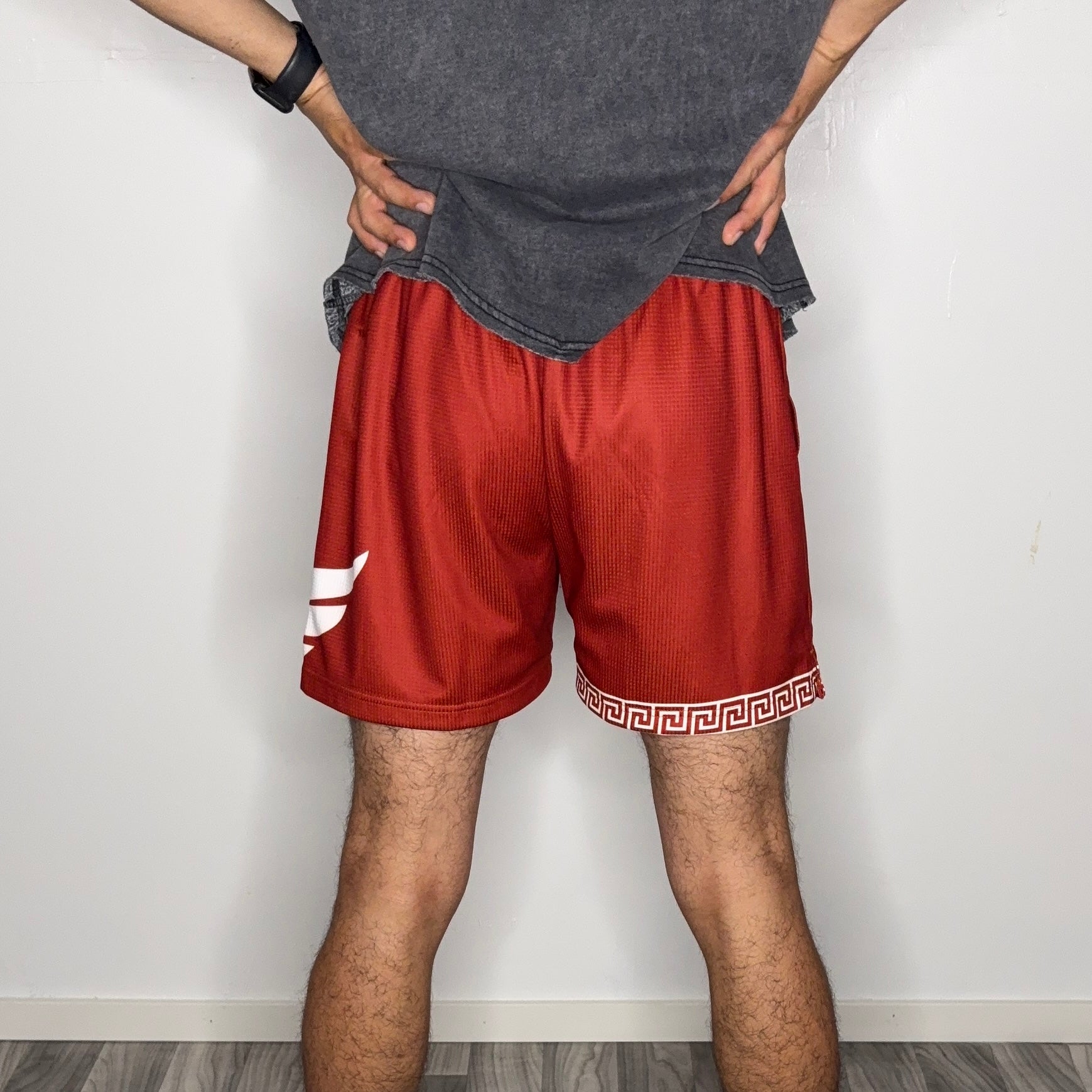 CRIMSON MESH SHORTS