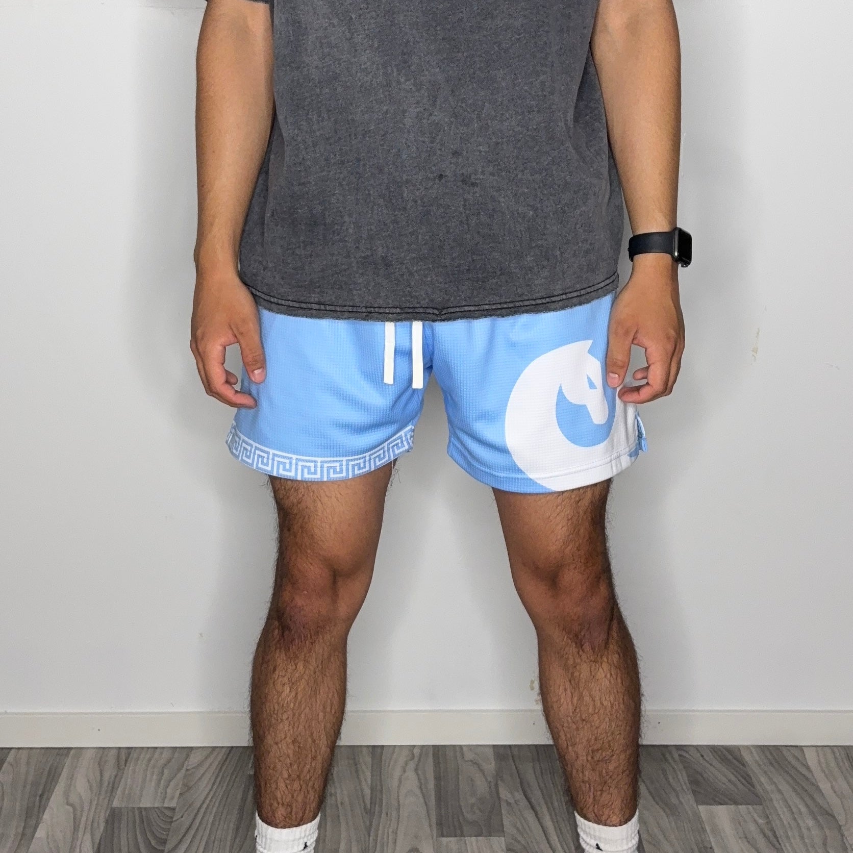 SKY MESH SHORTS