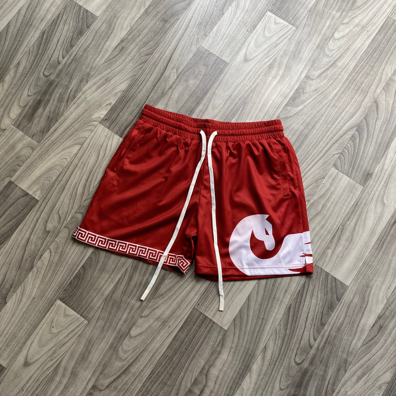 Mesh Shorts - Crimson